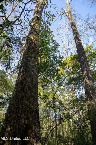 $290,000 | 14285 Highway 503, Decatur, MS 39327