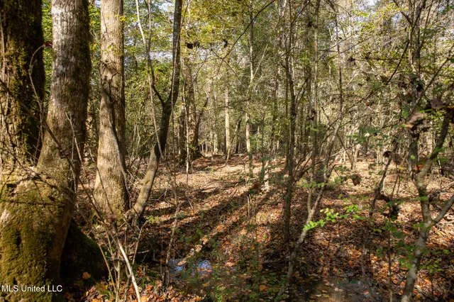 $290,000 | 14285 Highway 503, Decatur, MS 39327