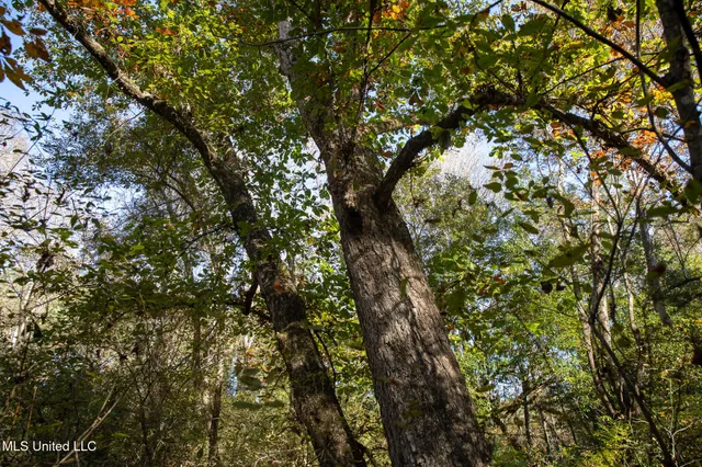 $290,000 | 14285 Highway 503, Decatur, MS 39327