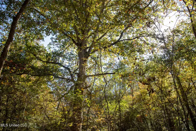 $290,000 | 14285 Highway 503, Decatur, MS 39327