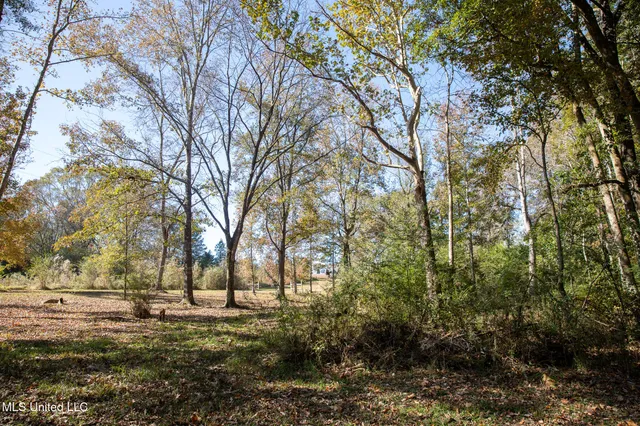 $290,000 | 14285 Highway 503, Decatur, MS 39327