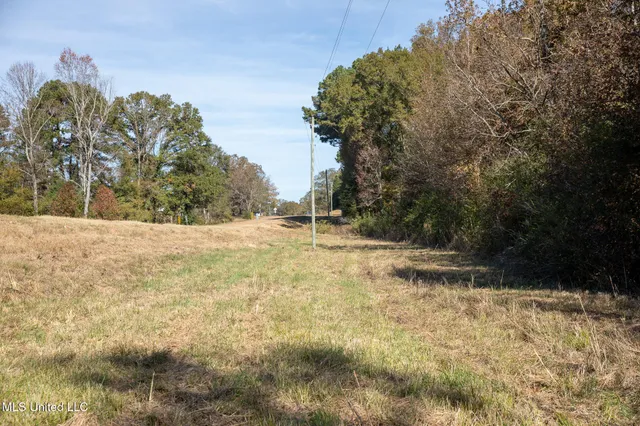 $290,000 | 14285 Highway 503, Decatur, MS 39327