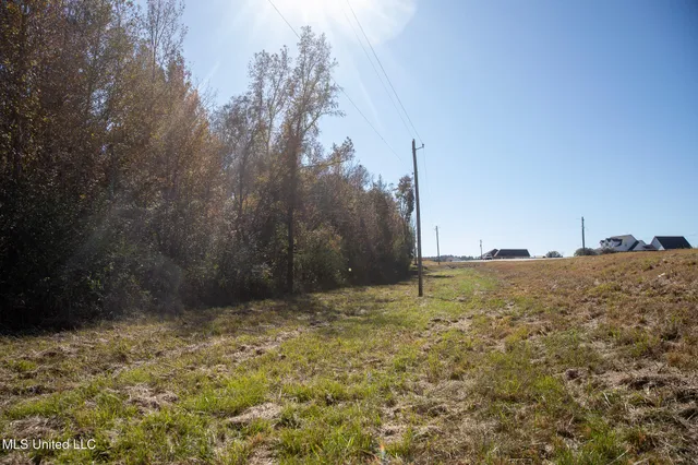 $290,000 | 14285 Highway 503, Decatur, MS 39327