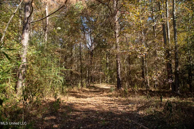 $290,000 | 14285 Highway 503, Decatur, MS 39327