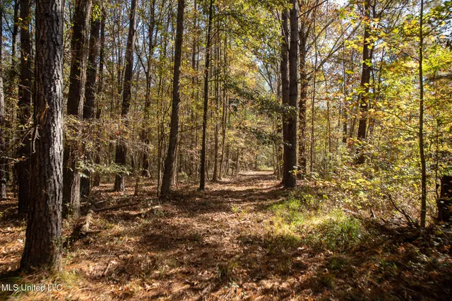 $290,000 | 14285 Highway 503, Decatur, MS 39327