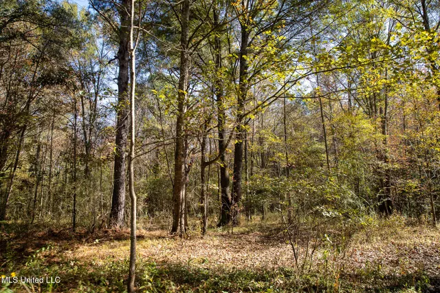 $290,000 | 14285 Highway 503, Decatur, MS 39327