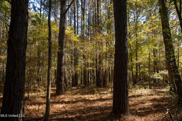 $290,000 | 14285 Highway 503, Decatur, MS 39327