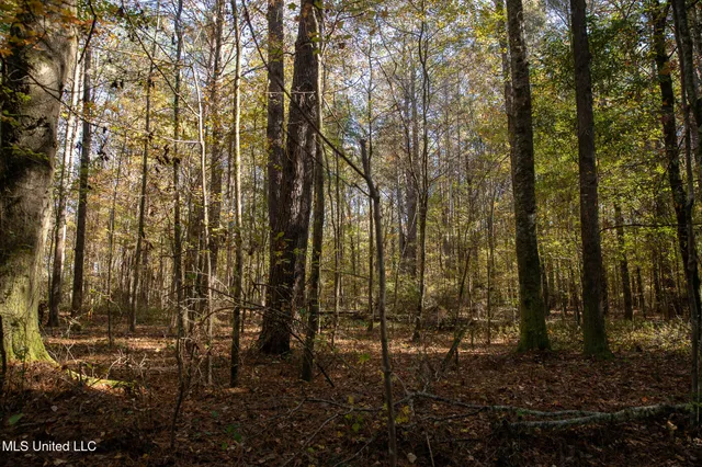 $290,000 | 14285 Highway 503, Decatur, MS 39327