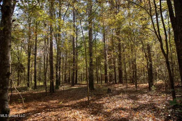 $290,000 | 14285 Highway 503, Decatur, MS 39327