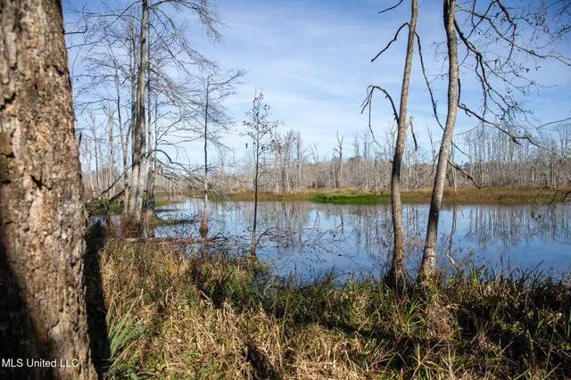 $290,000 | 14285 Highway 503, Decatur, MS 39327