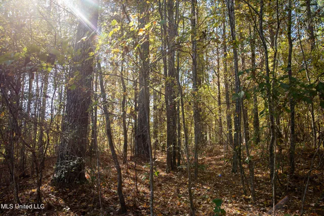 $290,000 | 14285 Highway 503, Decatur, MS 39327