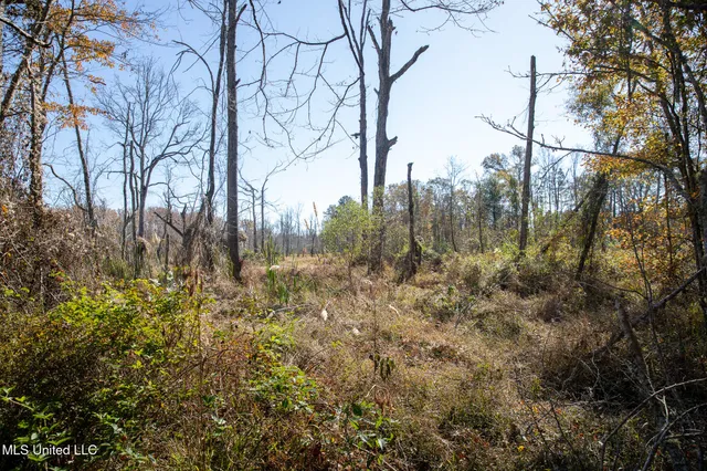 $290,000 | 14285 Highway 503, Decatur, MS 39327