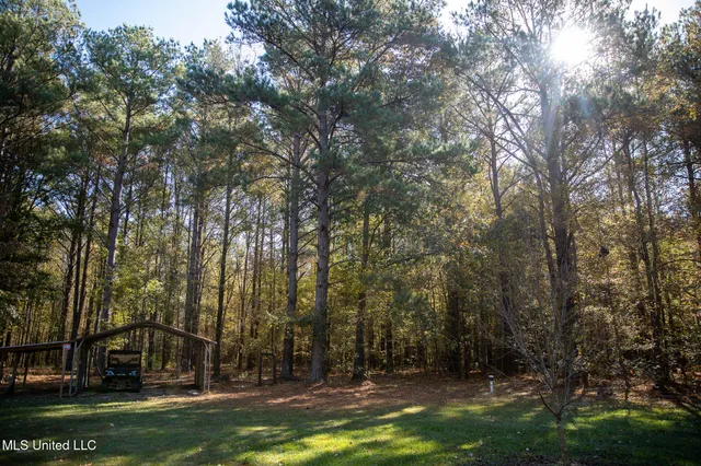 $290,000 | 14285 Highway 503, Decatur, MS 39327