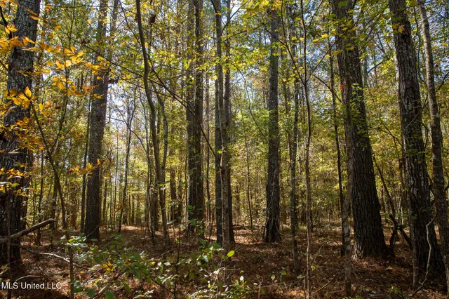 $290,000 | 14285 Highway 503, Decatur, MS 39327