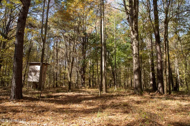 $290,000 | 14285 Highway 503, Decatur, MS 39327