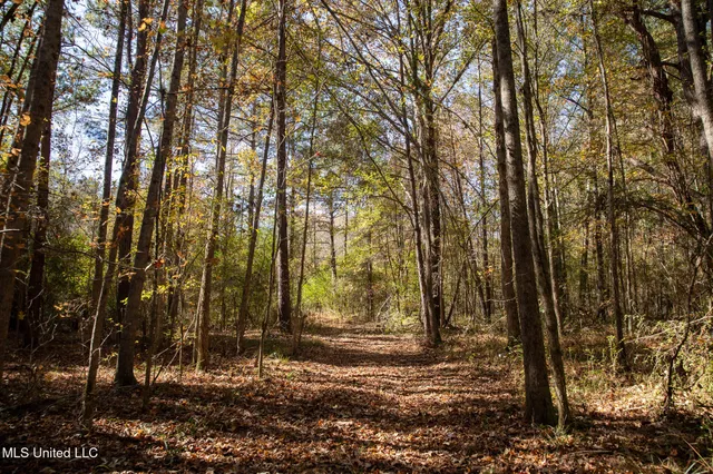 $290,000 | 14285 Highway 503, Decatur, MS 39327