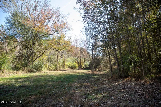 $290,000 | 14285 Highway 503, Decatur, MS 39327