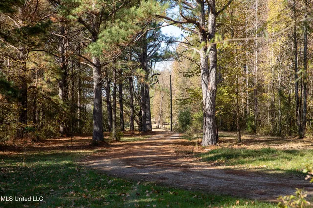 $290,000 | 14285 Highway 503, Decatur, MS 39327