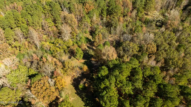 $290,000 | 14285 Highway 503, Decatur, MS 39327