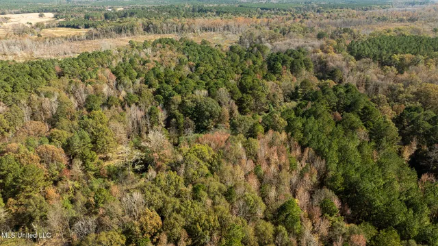 $290,000 | 14285 Highway 503, Decatur, MS 39327