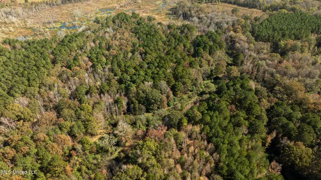 $290,000 | 14285 Highway 503, Decatur, MS 39327