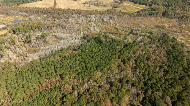 $290,000 | 14285 Highway 503, Decatur, MS 39327