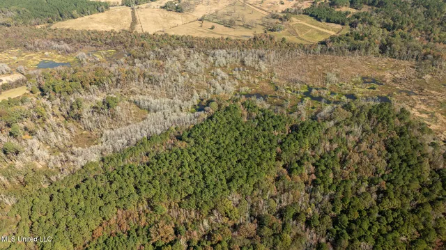 $290,000 | 14285 Highway 503, Decatur, MS 39327