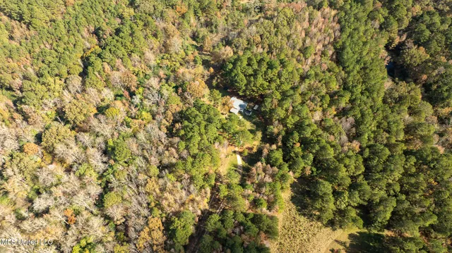 $290,000 | 14285 Highway 503, Decatur, MS 39327