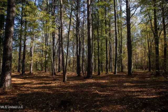 $290,000 | 14285 Highway 503, Decatur, MS 39327