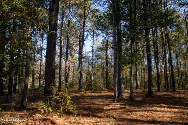 $290,000 | 14285 Highway 503, Decatur, MS 39327