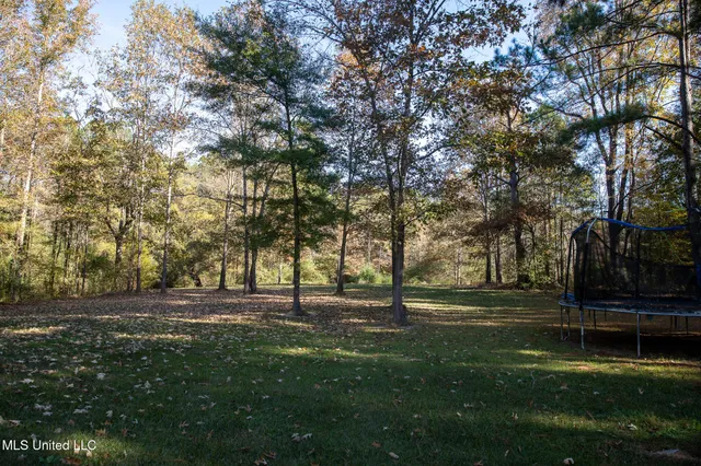 $290,000 | 14285 Highway 503, Decatur, MS 39327