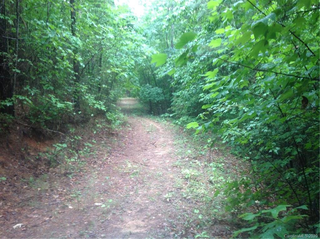 0 Mason Road Columbus, NC 28722 - Photo 14 of 23