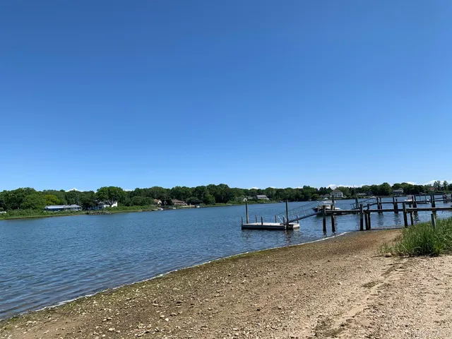 a view of a lake with a city view