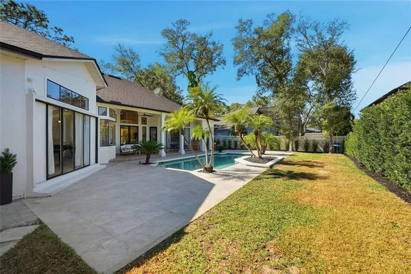 a view of a backyard with plants and palm tree