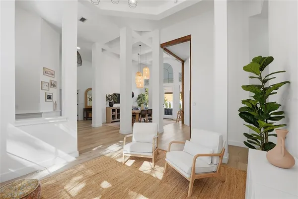 a living room with furniture a potted plant and a rug
