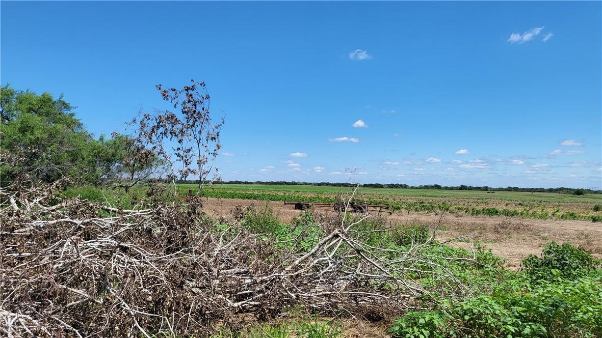 0 Us-281 Falfurrias, TX 78355 - Photo 6 of 10 a view of a lake from a yard