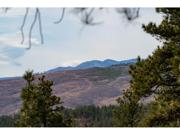 $950,000 | 440 La Hermosa Drive, Bellvue, CO 80512