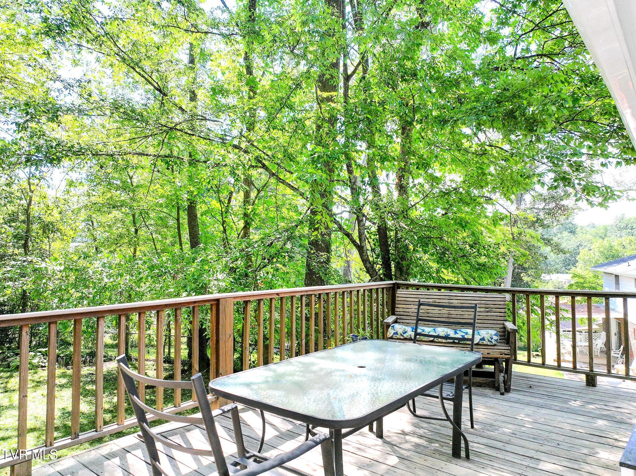 108 Alpine Circle Greeneville, TN 37743 - Photo 39 of 57 ALPINE.CIR 00203