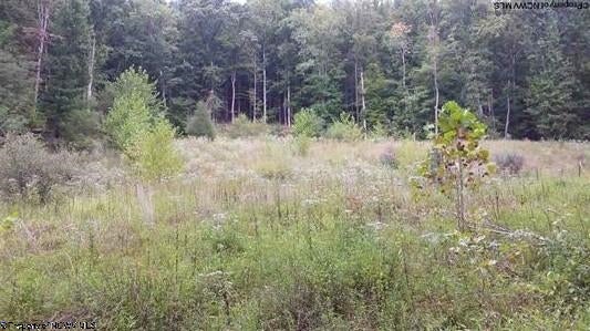 2985 Sassafras Run Road Weston, WV 26452 - Photo 4 of 8 Gallery Image 4