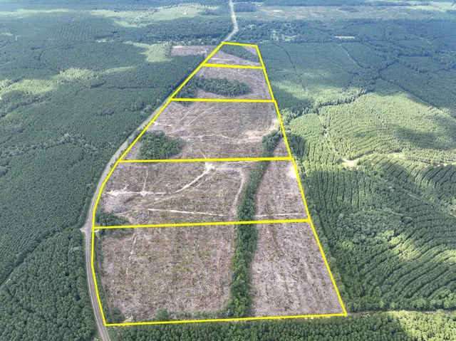 a view of a garden from a balcony