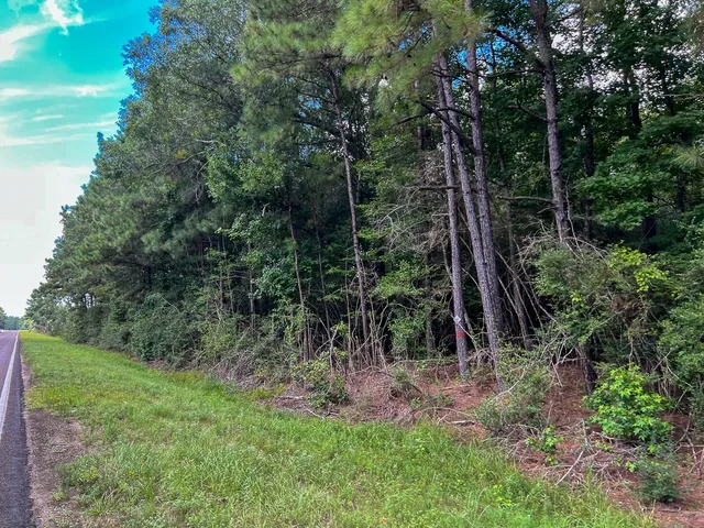 $123,750 | 4 Fm 92, Woodville, TX 75979