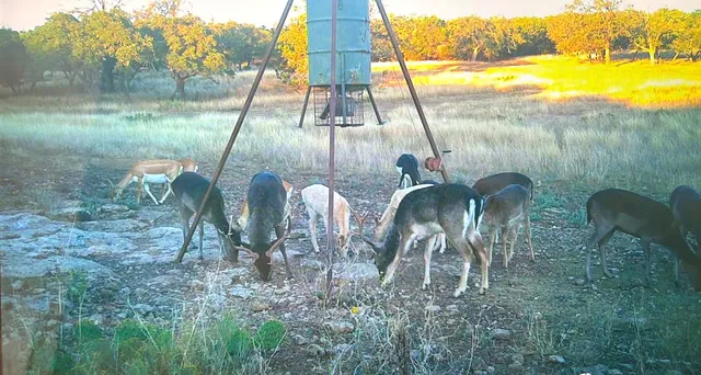 $1,350,000 | 419 Yellowstone Lane, Hunt, TX 78024