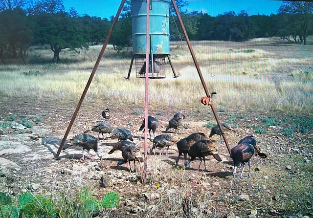 $1,350,000 | 419 Yellowstone Lane, Hunt, TX 78024