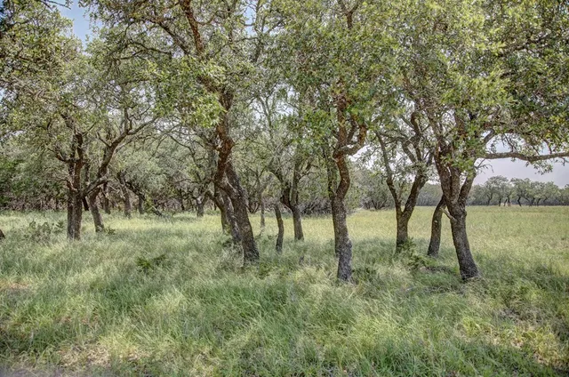 $1,350,000 | 419 Yellowstone Lane, Hunt, TX 78024