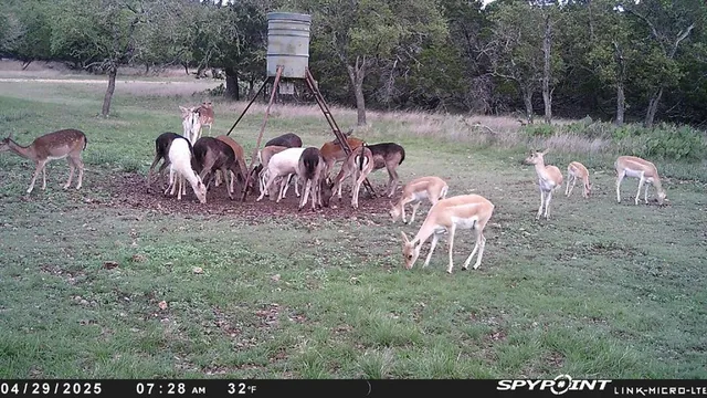 $1,350,000 | 419 Yellowstone Lane, Hunt, TX 78024