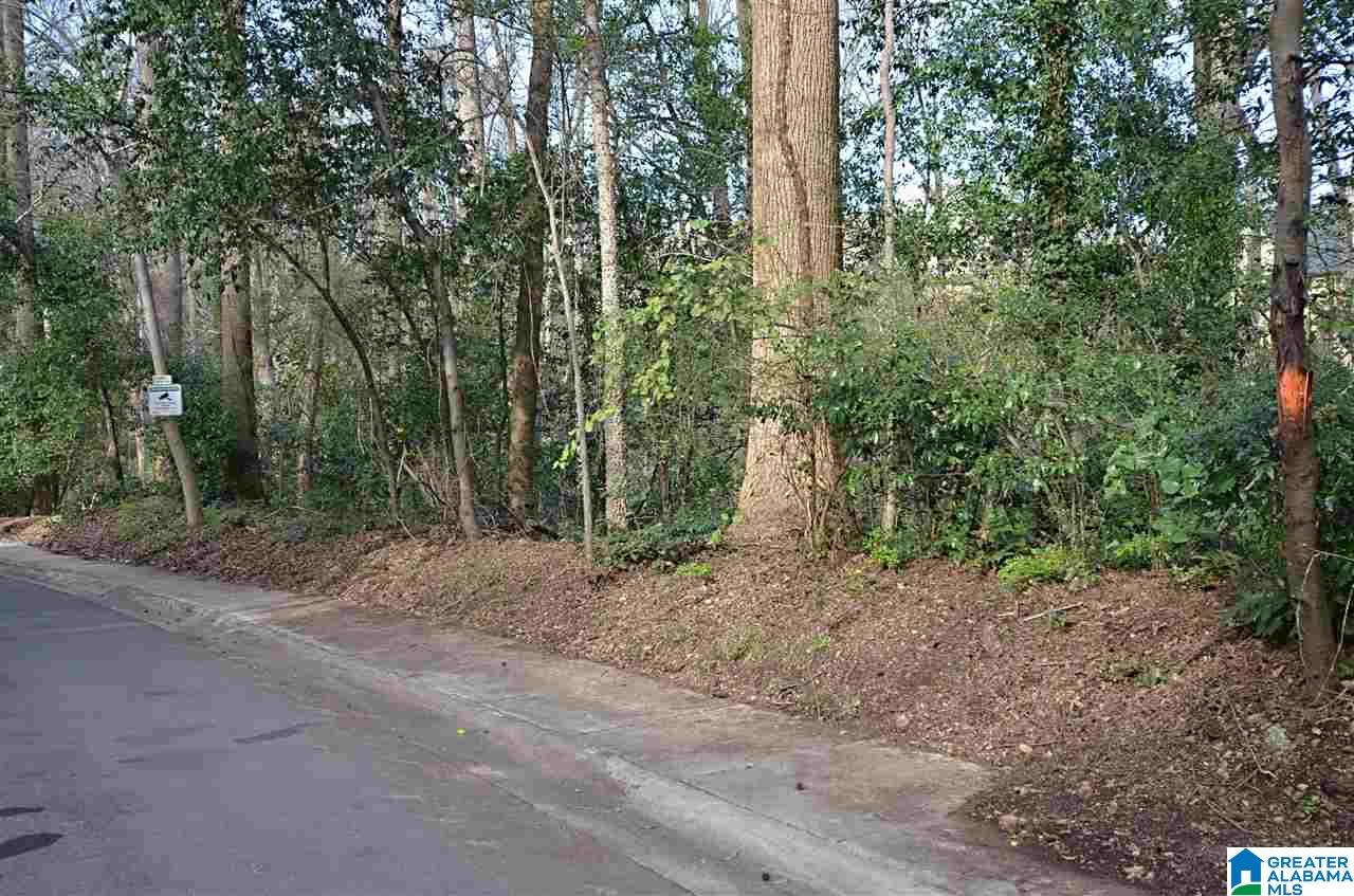 2939 Berwick Road, Unit 9 Birmingham, AL 35213 - Photo 5 of 8
