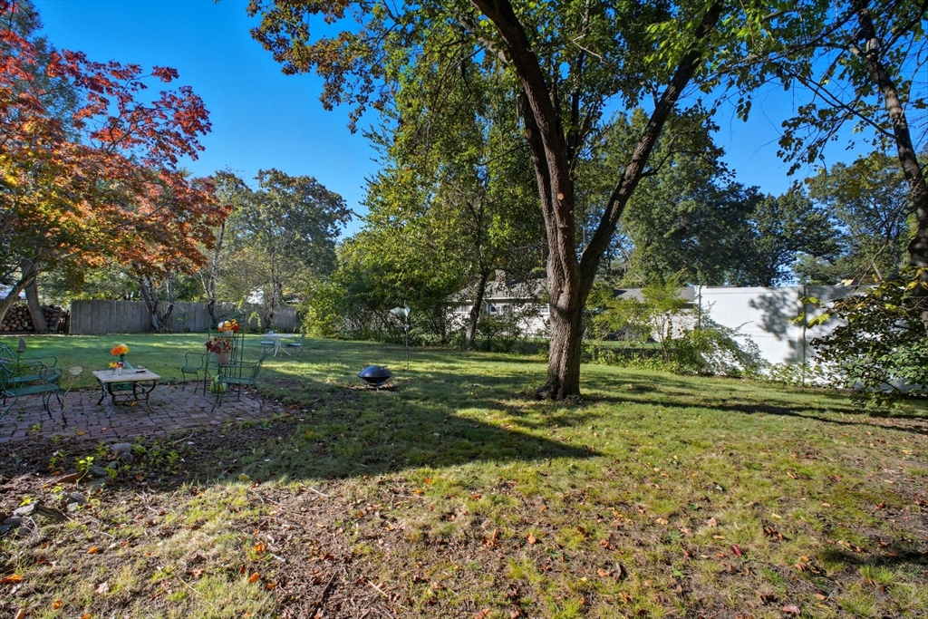 28 Collingwood Road Springfield, MA 01119 - Photo 28 of 32 a view of a park with large trees