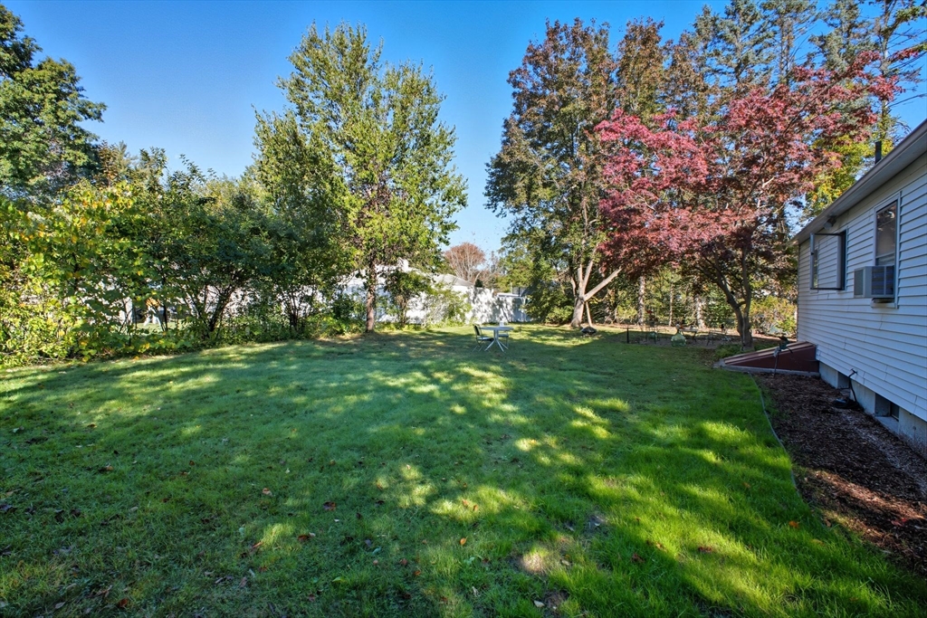 28 Collingwood Road Springfield, MA 01119 - Photo 29 of 32 a view of yard with green space