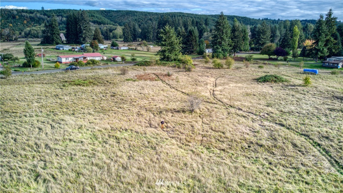 0 Satsop Riviera Loop, Unit LOT90 Elma, WA 98541 - Photo 3 of 16 Gallery Image 3