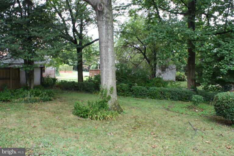 9314 Sudbury Road Silver Spring, MD 20901 - Photo 12 of 30 a view of backyard with green space